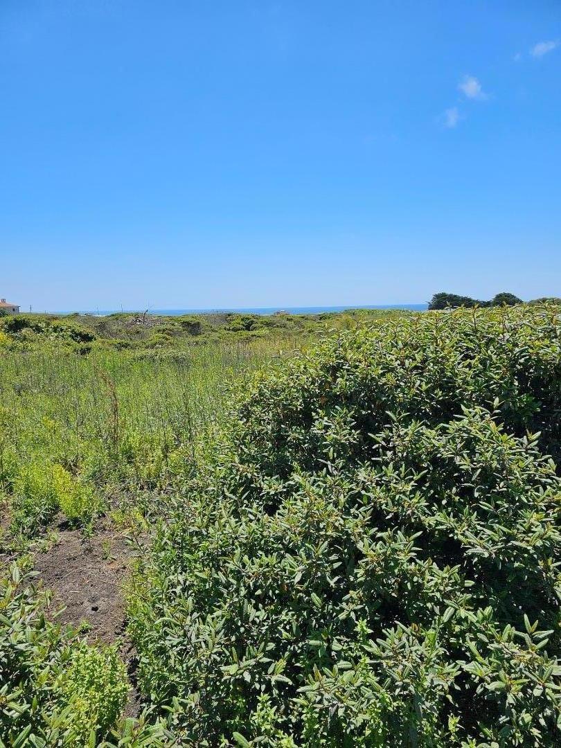 MLS #ML81971865 image #1