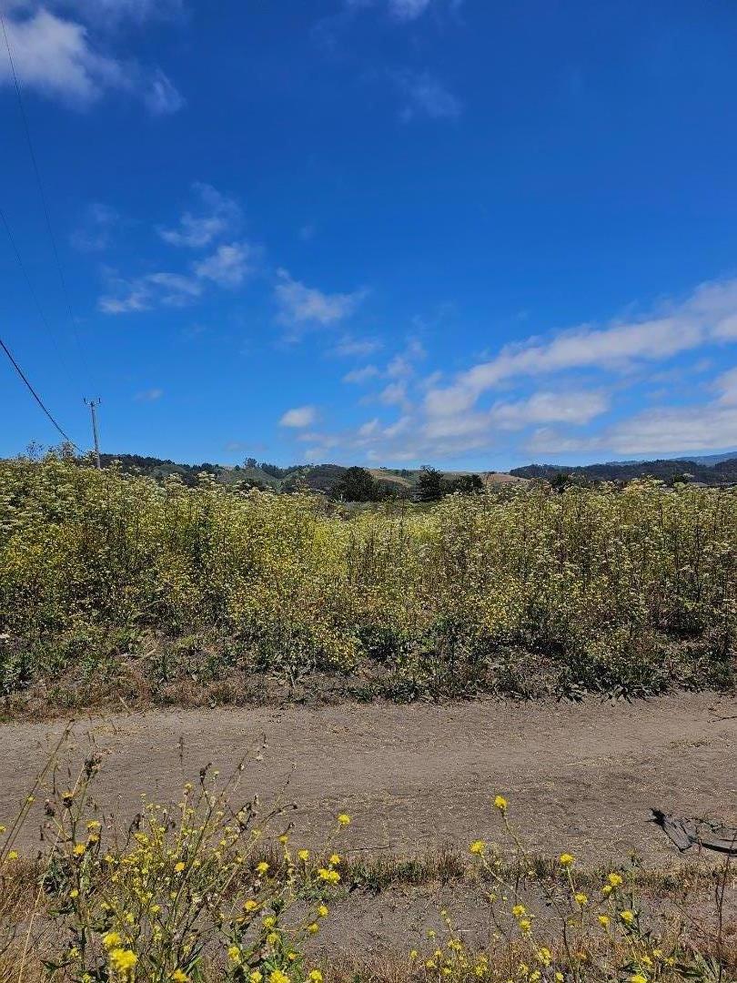 MLS #ML81971865 image #4