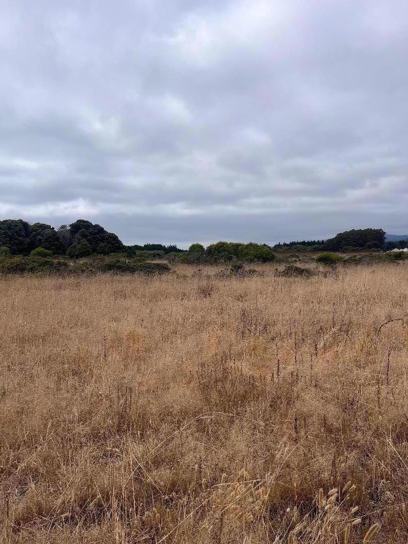 MLS #ML81980654 image #10