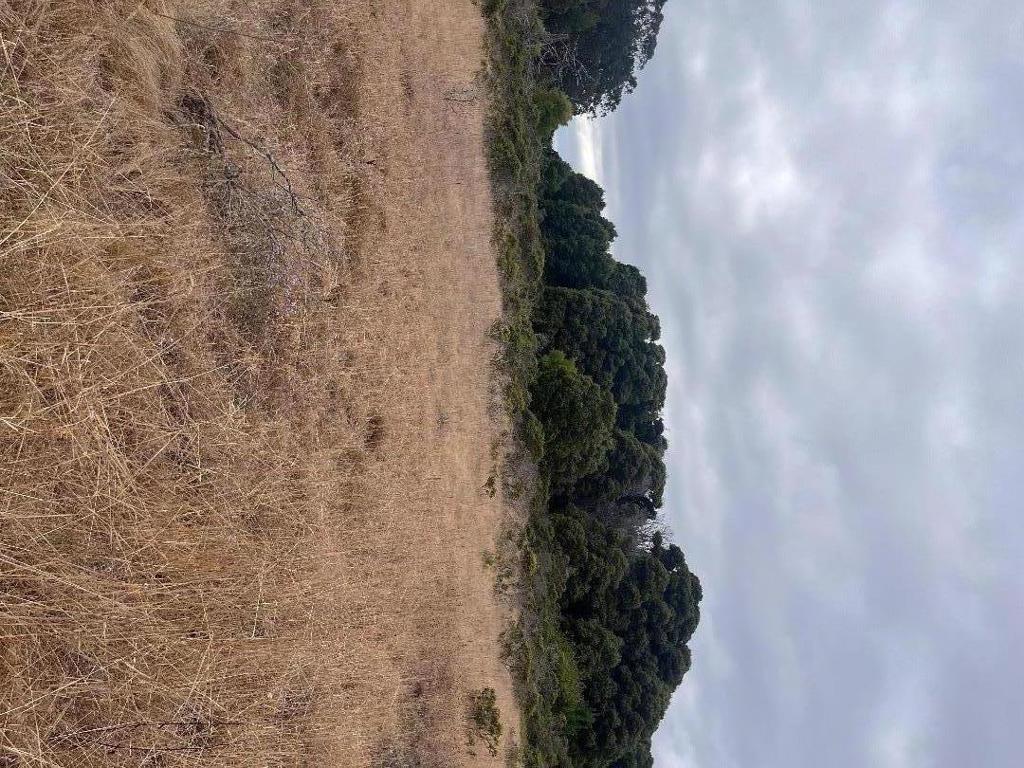 MLS #ML81980654 image #3