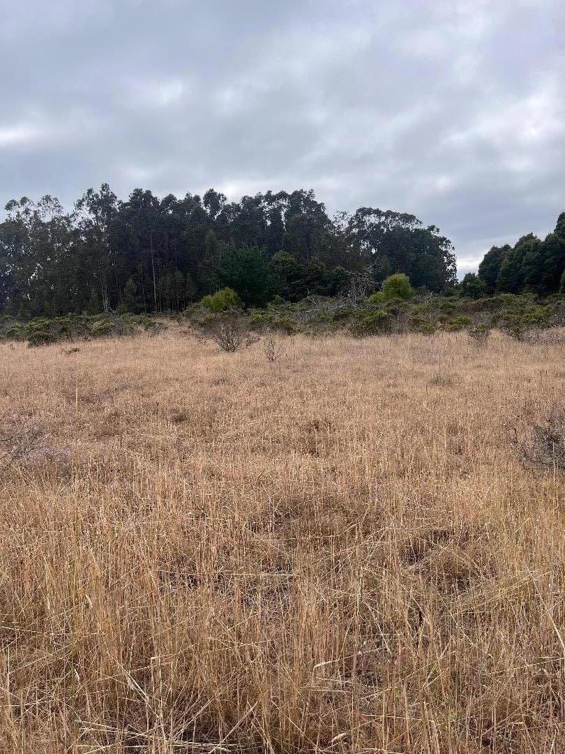 MLS #ML81980654 image #4