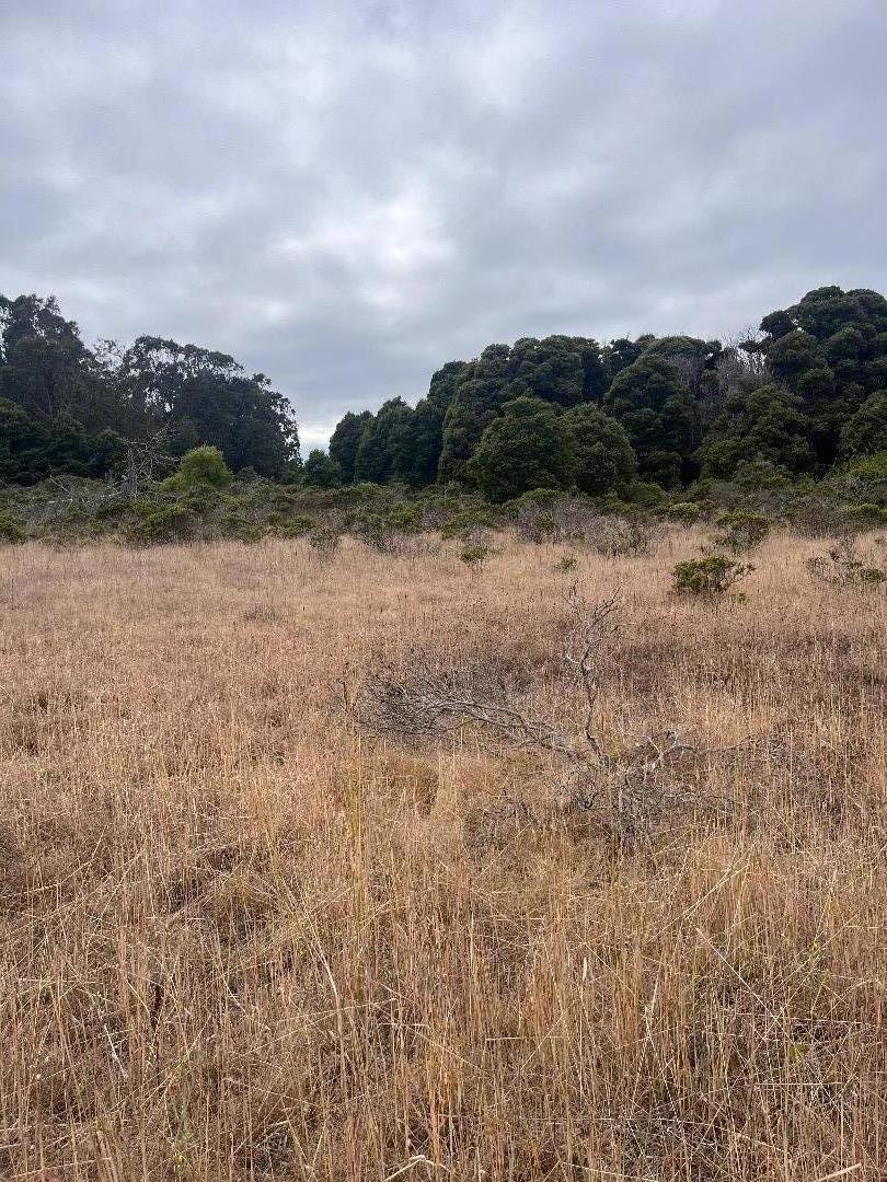 MLS #ML81980654 image #5