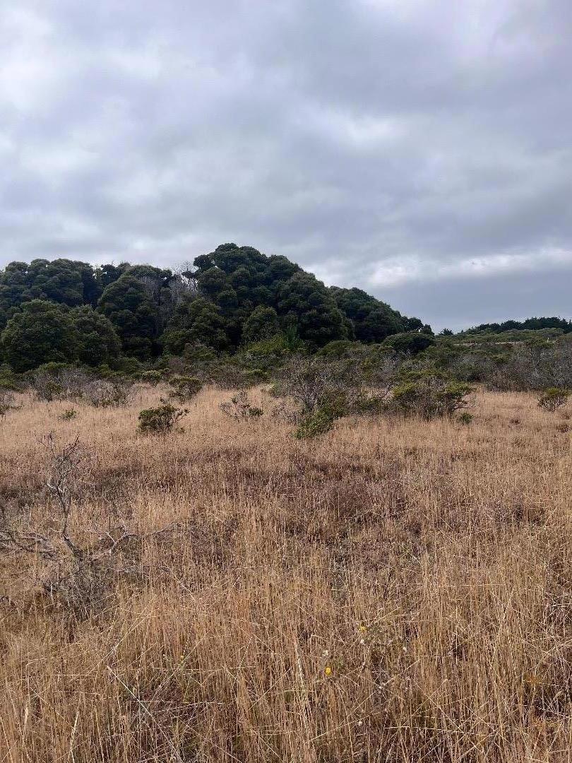 MLS #ML81980654 image #6