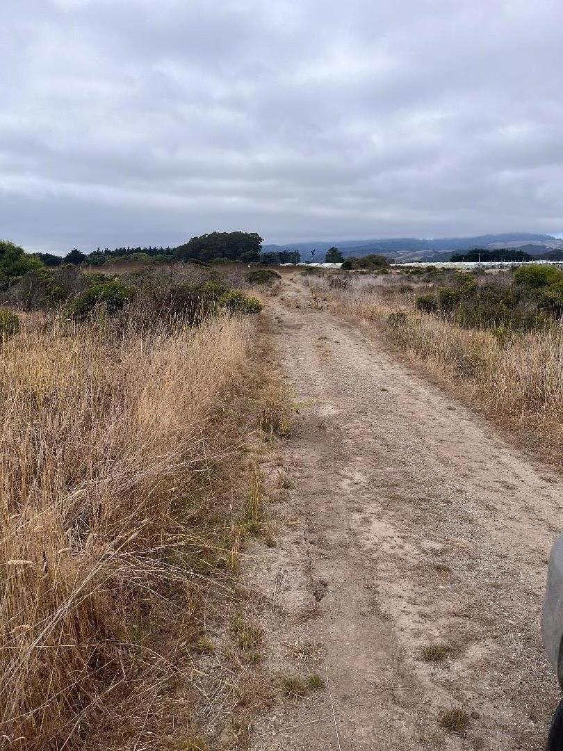 MLS #ML81980654 image #7