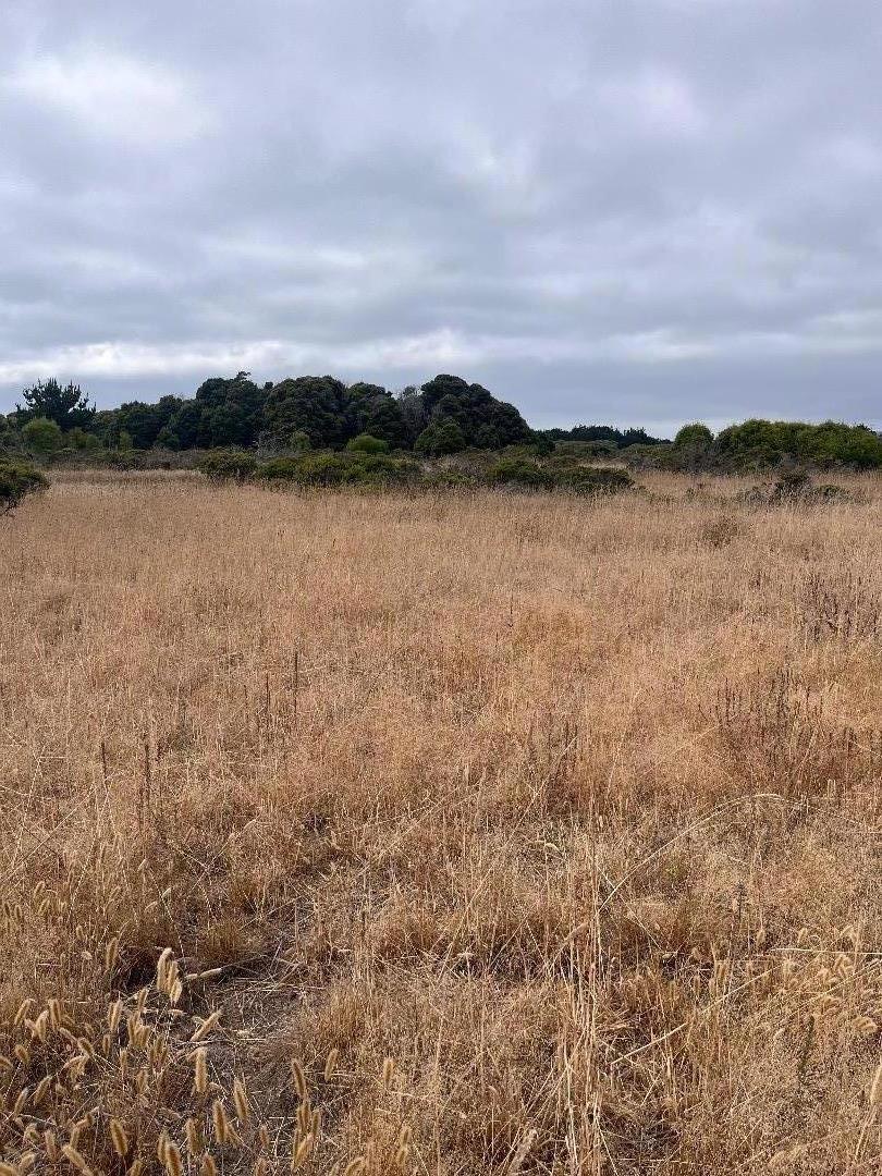 MLS #ML81980654 image #9