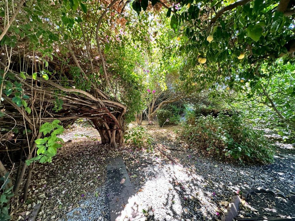 MLS #ML81982357 image #2