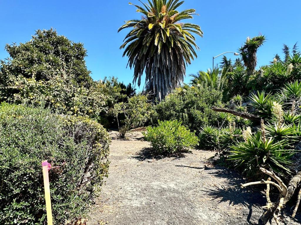 MLS #ML81982357 image #3