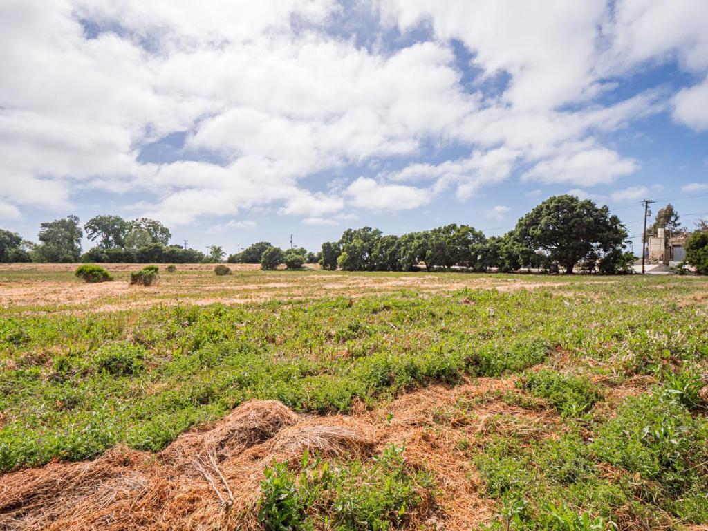 MLS #ML81983152 image #16