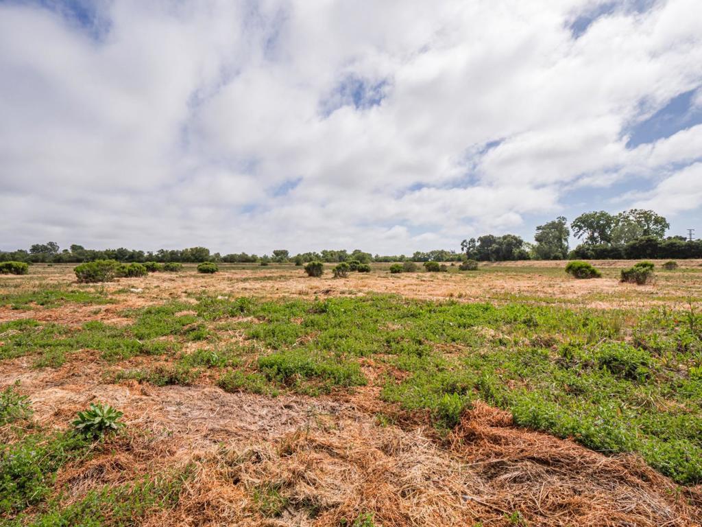 MLS #ML81983152 image #17