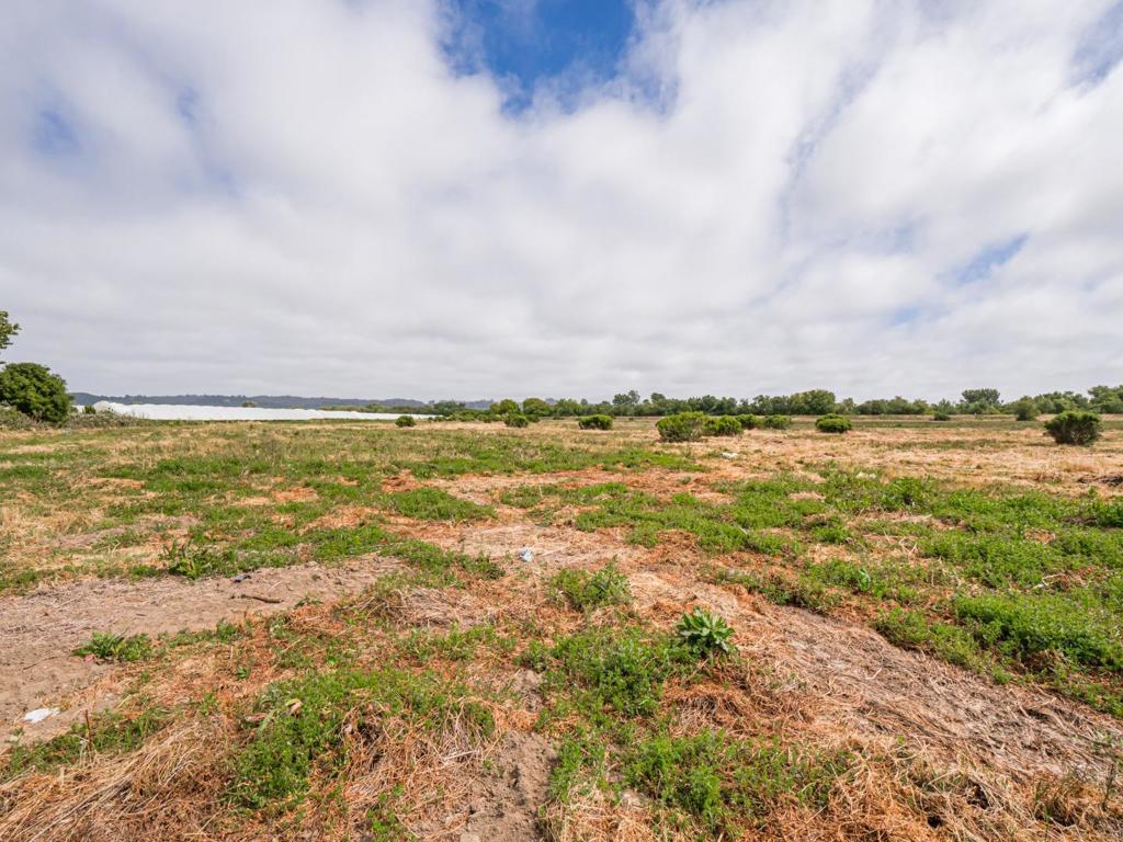 MLS #ML81983152 image #18