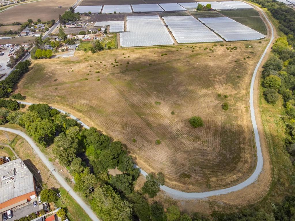 MLS #ML81983152 image #26