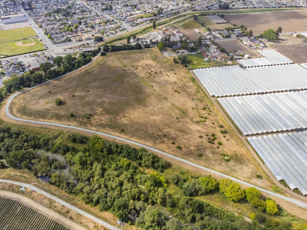 MLS #ML81983152 image #29