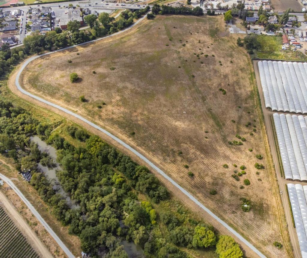 MLS #ML81983152 image #30