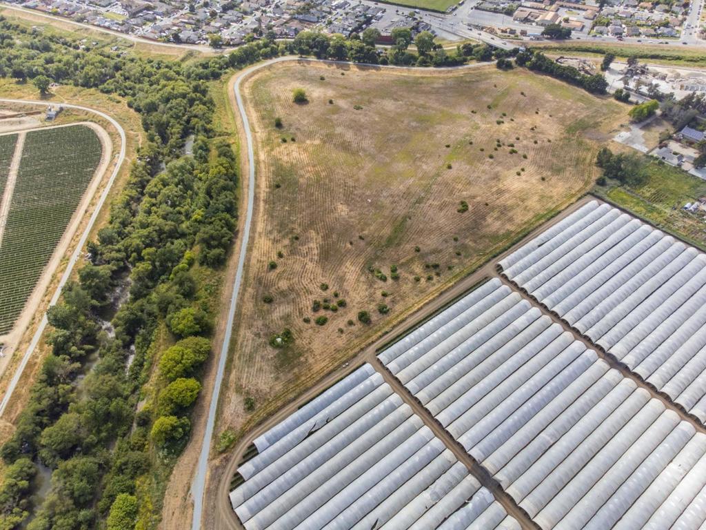 MLS #ML81983152 image #31