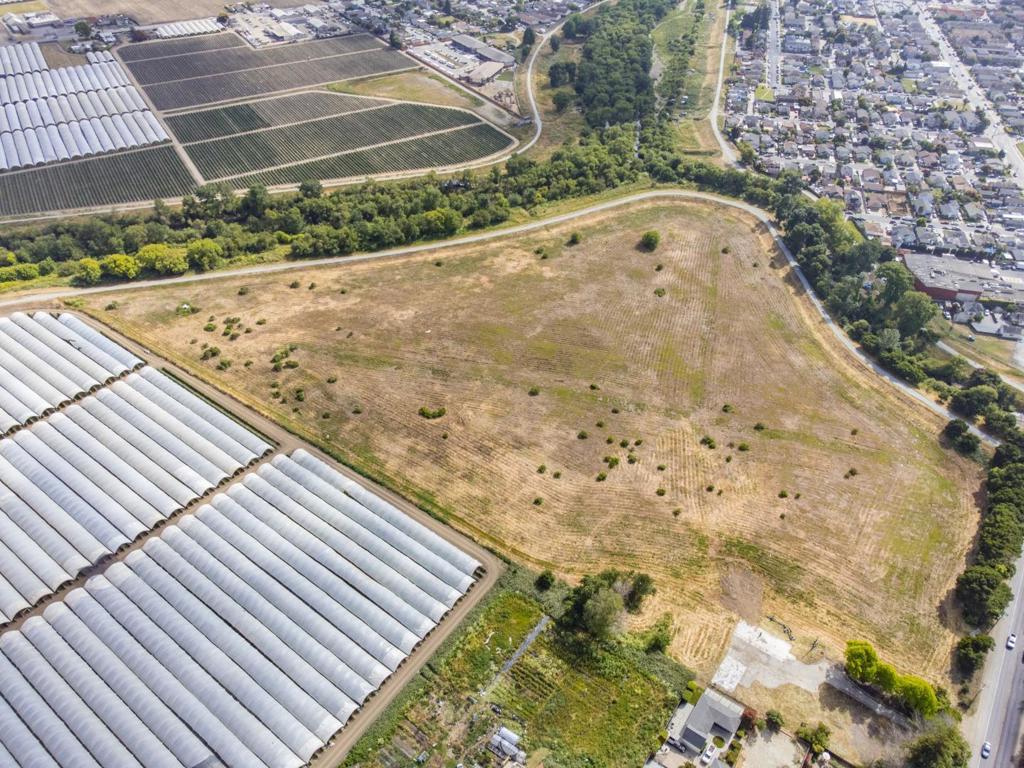 MLS #ML81983152 image #33