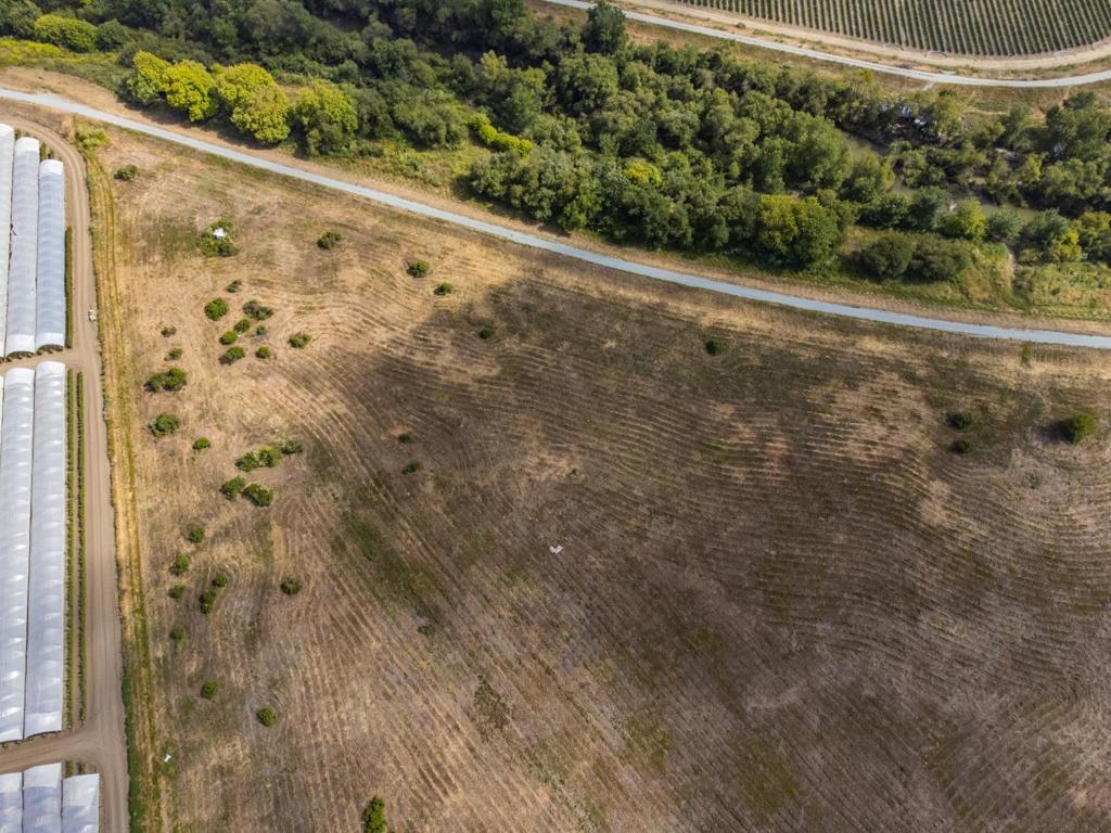 MLS #ML81983152 image #36