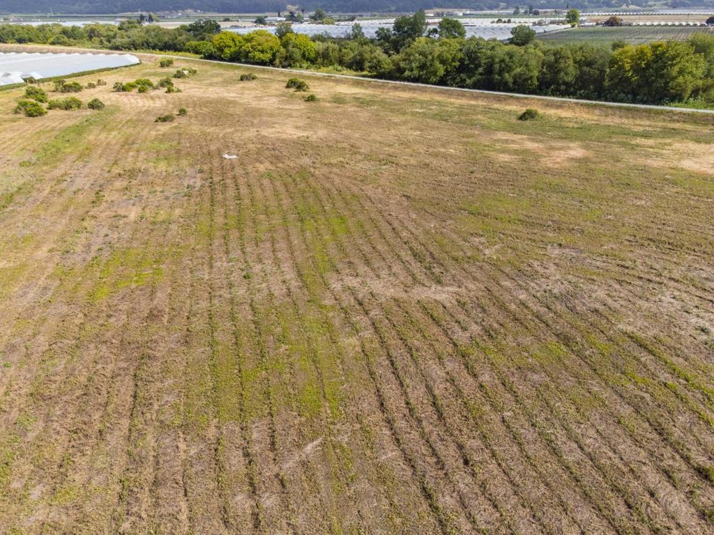 MLS #ML81983152 image #39