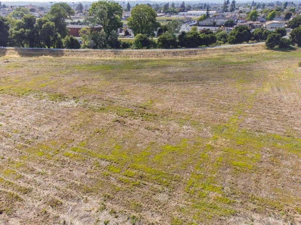 MLS #ML81983152 image #40