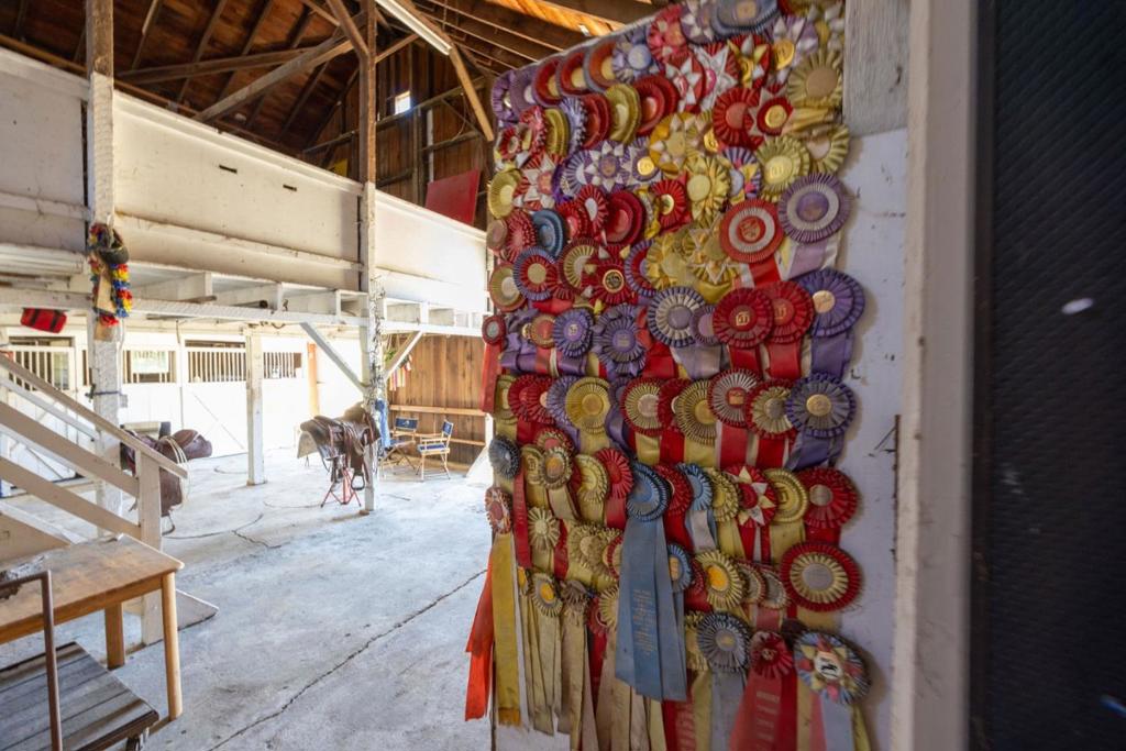 MLS #ML81989904 image #30