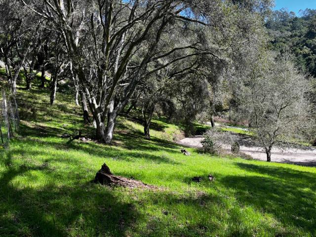 MLS #ML81993076 image #11