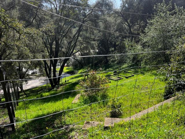 MLS #ML81993076 image #13