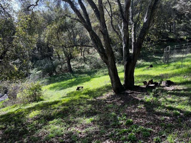 MLS #ML81993076 image #14