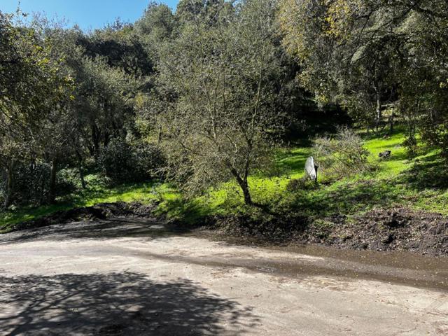 MLS #ML81993076 image #16