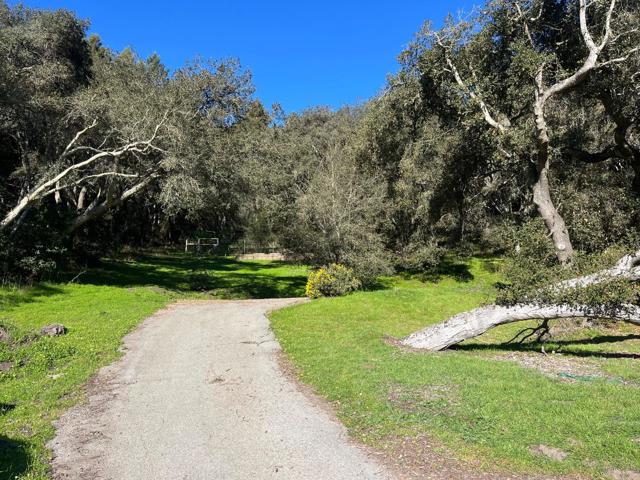 MLS #ML81993076 image #17