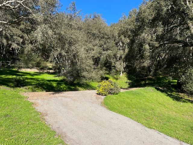 MLS #ML81993076 image #18