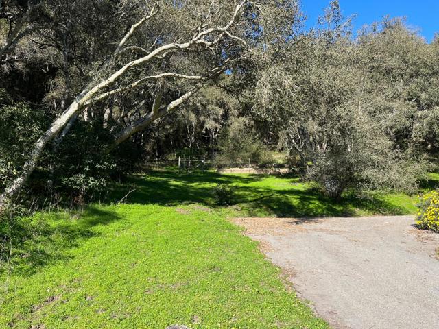 MLS #ML81993076 image #19