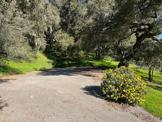 MLS #ML81993076 image #20