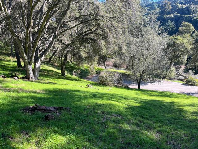 MLS #ML81993076 image #21