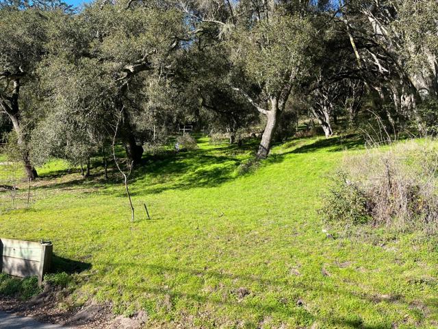 MLS #ML81993076 image #23