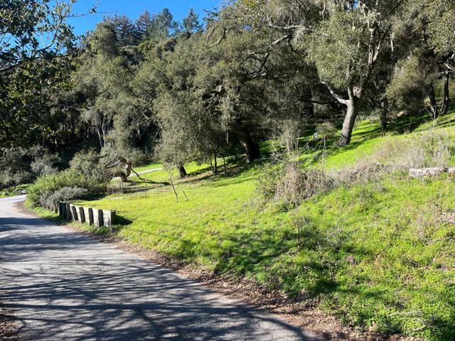 MLS #ML81993076 image #24