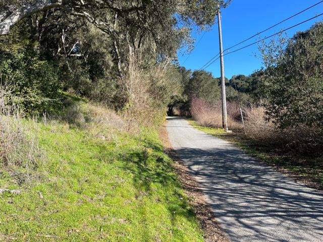 MLS #ML81993076 image #25