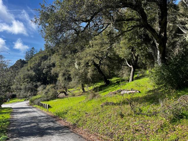 MLS #ML81993076 image #3