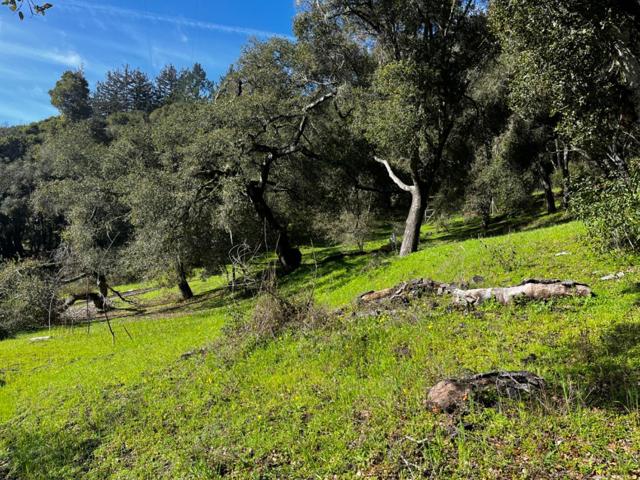 MLS #ML81993076 image #4