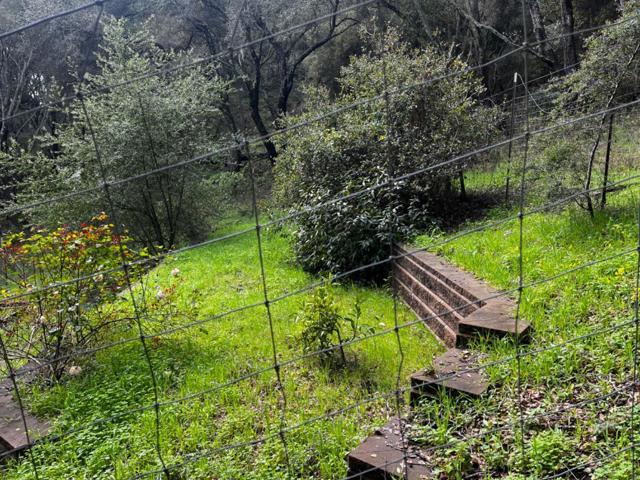 MLS #ML81993076 image #6