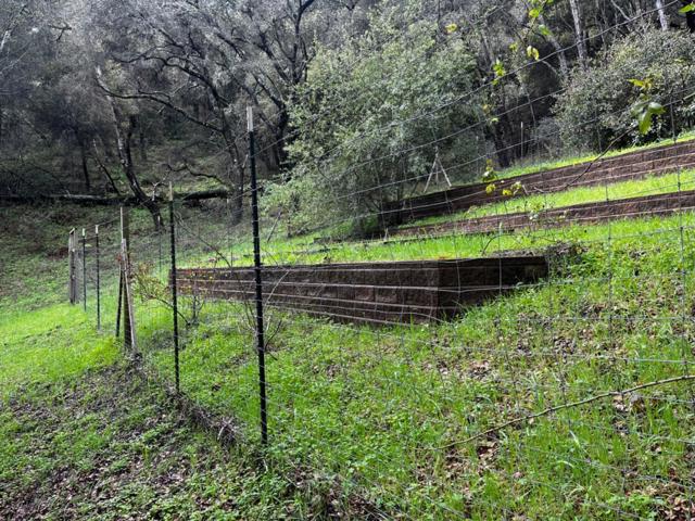 MLS #ML81993076 image #8