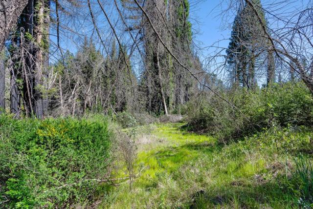 MLS #ML81994307 image #22