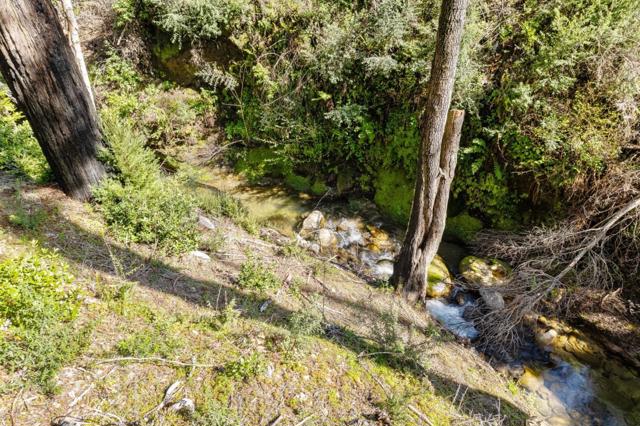 MLS #ML81994307 image #38