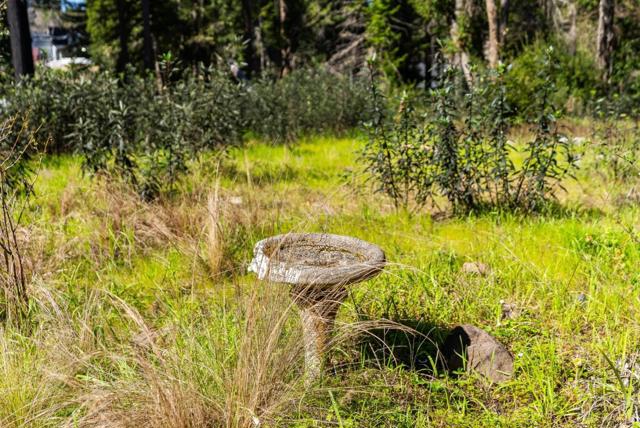 MLS #ML81994307 image #40