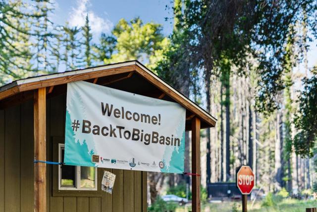 MLS #ML81994307 image #50