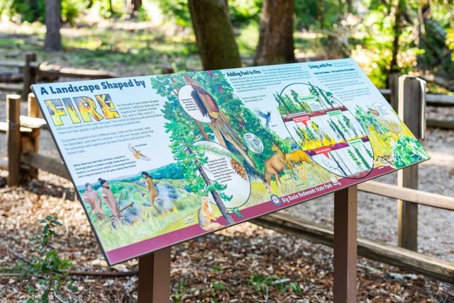 MLS #ML81994307 image #51