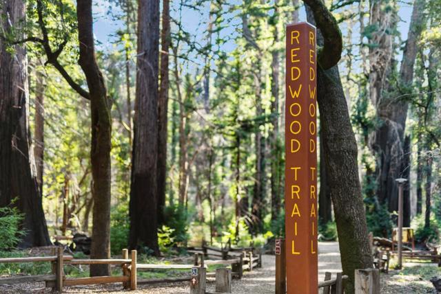 MLS #ML81994307 image #52