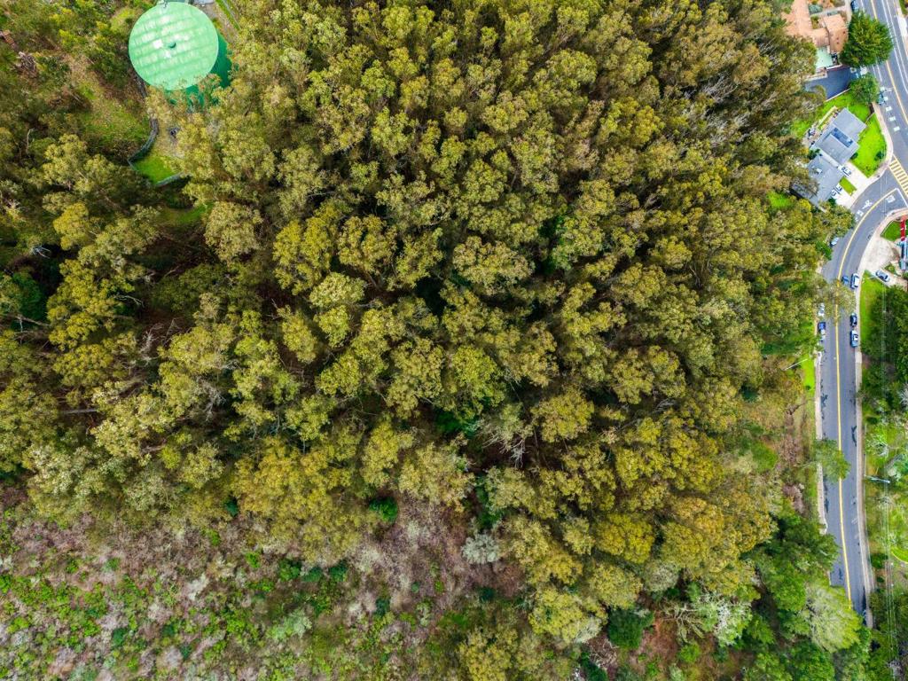 MLS #ML81994402 image #10