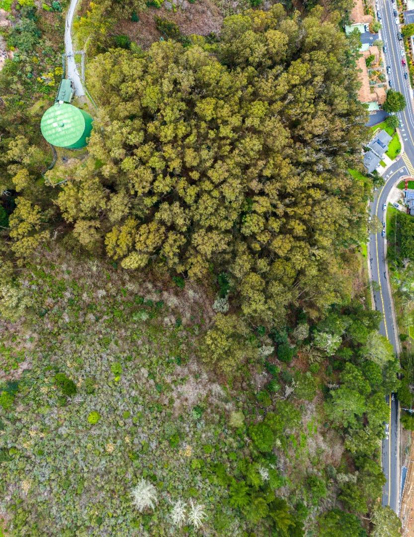 MLS #ML81994402 image #8