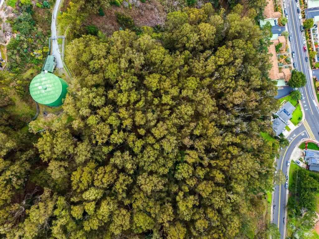 MLS #ML81994402 image #9