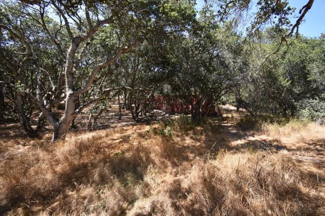 MLS #ML81994433 image #36