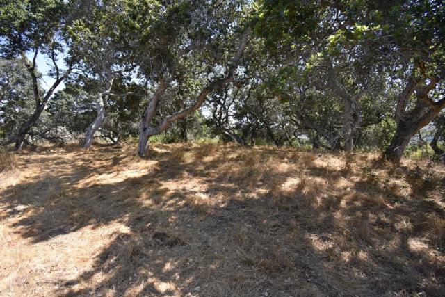 MLS #ML81994433 image #37